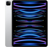11-inch iPad Pro Wi-Fi + Cellular (4th Gen) - 1TB - Silver